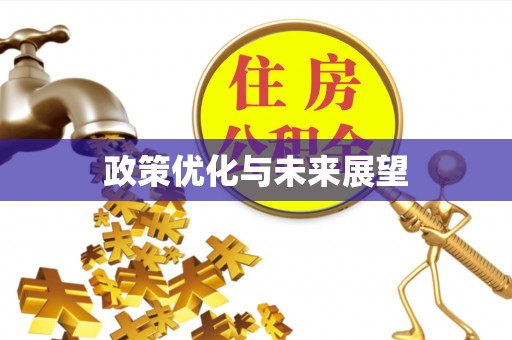 疏附政策优化与未来展望