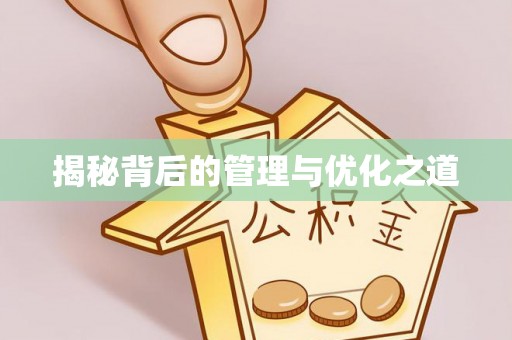 疏附揭秘背后的管理与优化之道