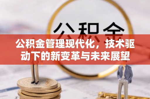 疏附公积金管理现代化，技术驱动下的新变革与未来展望
