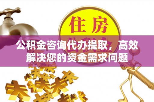 疏附公积金咨询代办提取，高效解决您的资金需求问题