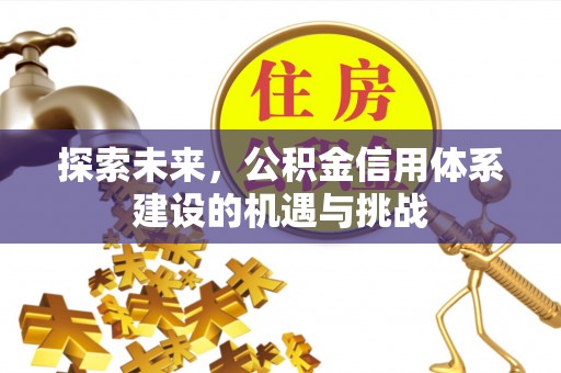 疏附探索未来，公积金信用体系建设的机遇与挑战