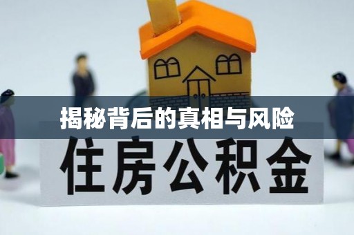 疏附揭秘背后的真相与风险