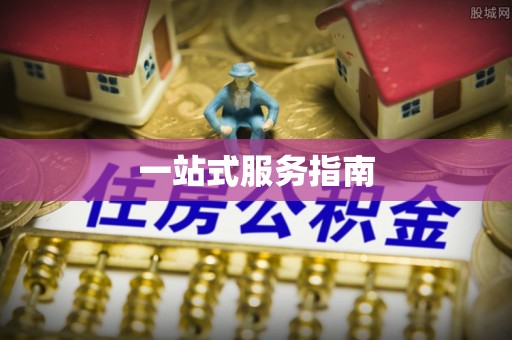 疏附一站式服务指南