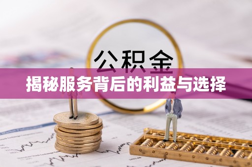 疏附揭秘服务背后的利益与选择