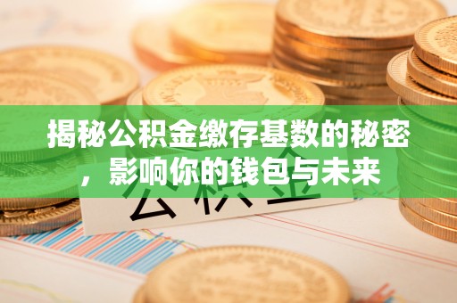 疏附揭秘公积金缴存基数的秘密，影响你的钱包与未来