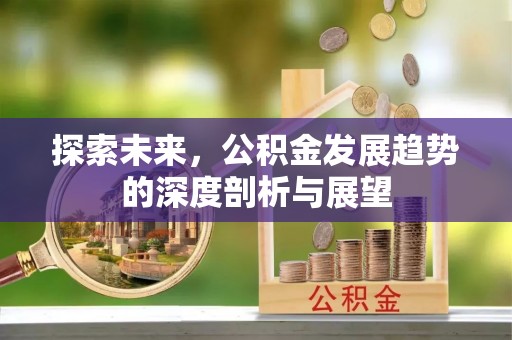 疏附探索未来，公积金发展趋势的深度剖析与展望