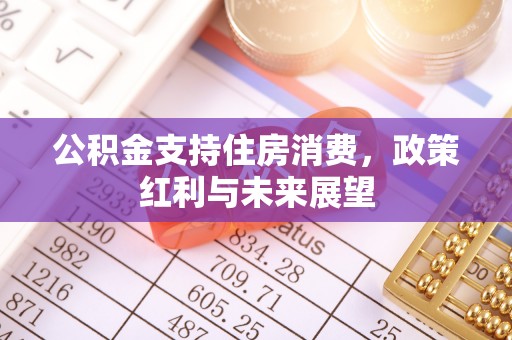 疏附公积金支持住房消费，政策红利与未来展望