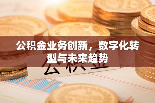 疏附公积金业务创新，数字化转型与未来趋势
