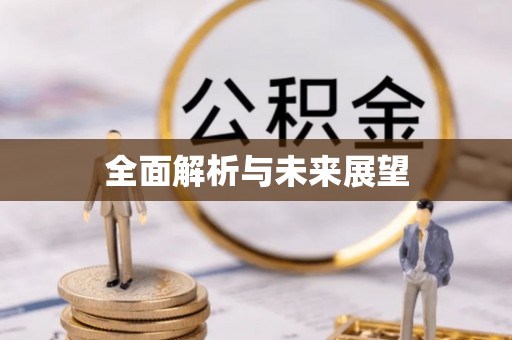疏附全面解析与未来展望