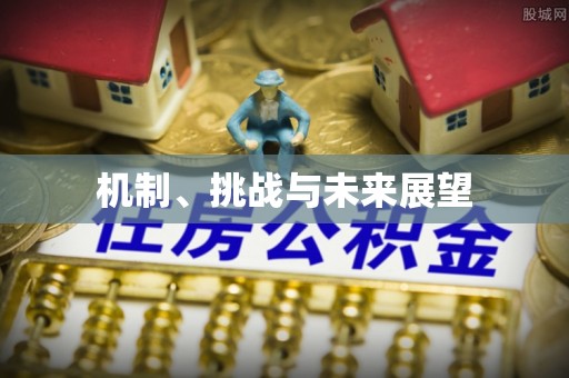 疏附机制、挑战与未来展望