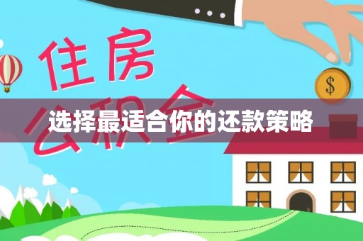 疏附选择最适合你的还款策略