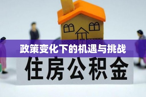 疏附政策变化下的机遇与挑战