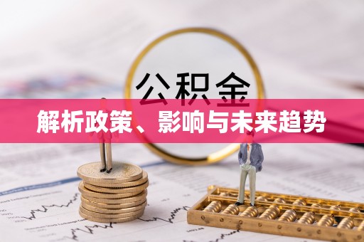疏附解析政策、影响与未来趋势