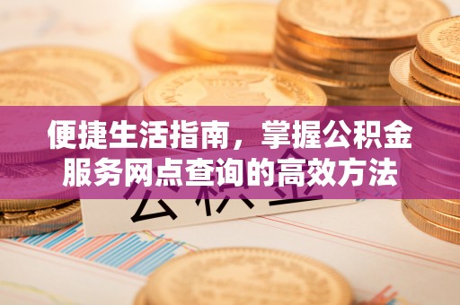 疏附便捷生活指南，掌握公积金服务网点查询的高效方法
