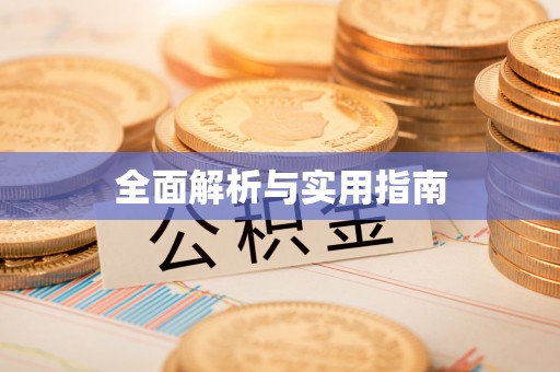 疏附全面解析与实用指南