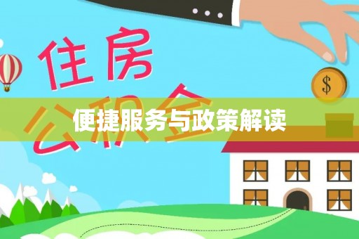 疏附便捷服务与政策解读